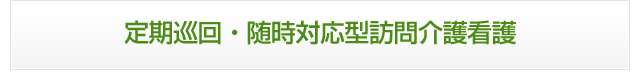 定期巡回・随時対応型訪問介護看護